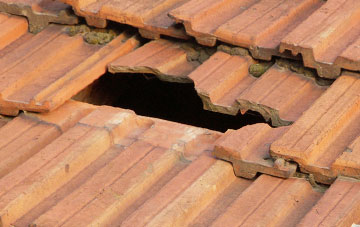 roof repair Plas Meredydd, Powys