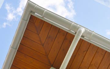 Plas Meredydd soffit types