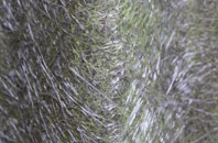 Plas Meredydd fibreglass roof work